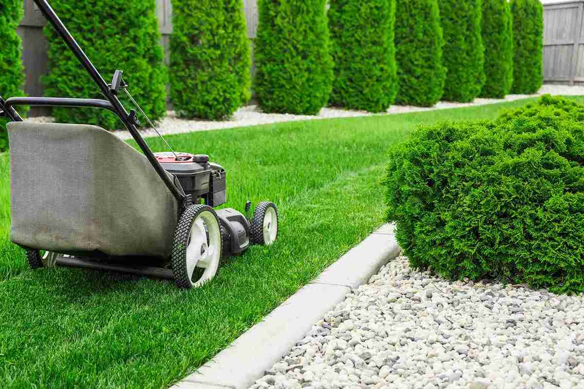lawn mower on green grass 2026 03 18 04 33 09 utc_11zon 1