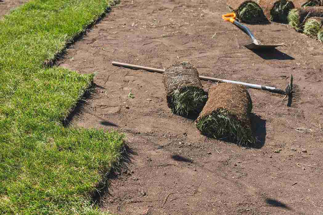 laying sod for new garden lawn turf laying conce 2026 03 24 11 40 07 utc 1_11zon
