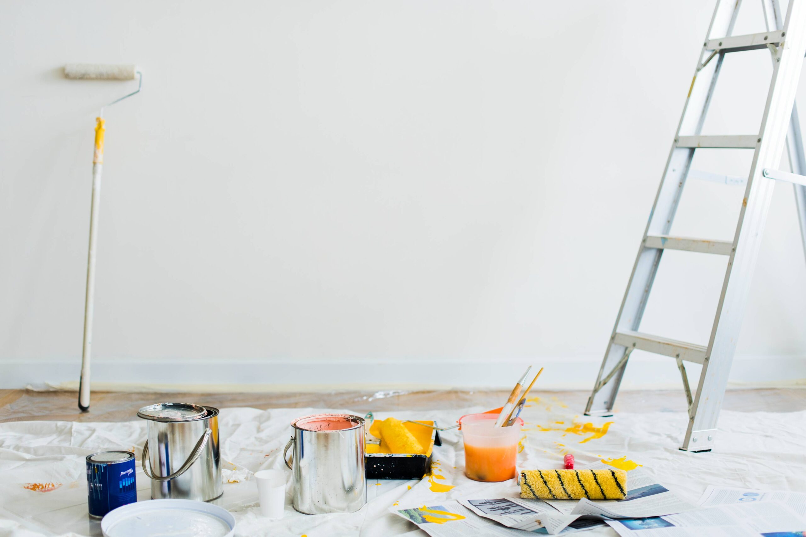 Painting & Renovation