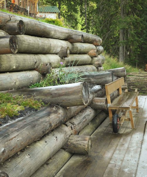 wooden-bench-in-mountain-resort-park-in-autumn-sea-2026-01-09-08-03-39-utc_11zon