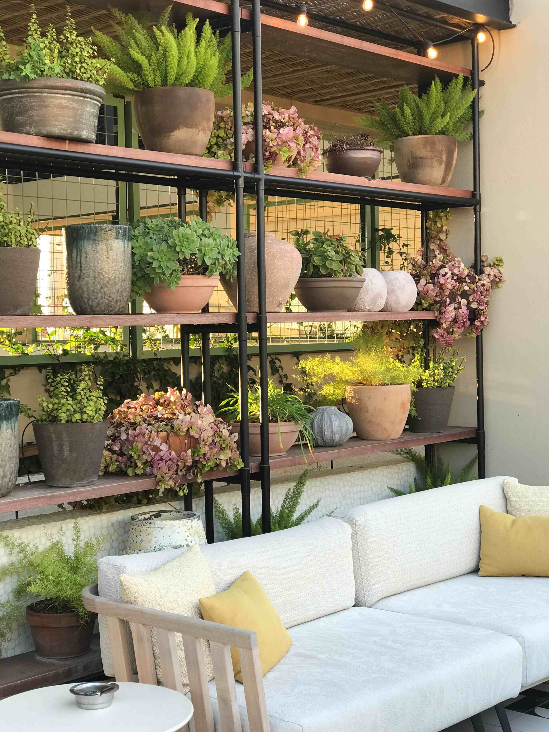plants-and-furniture-on-a-patio-2026-01-07-05-44-53-utc_11zon